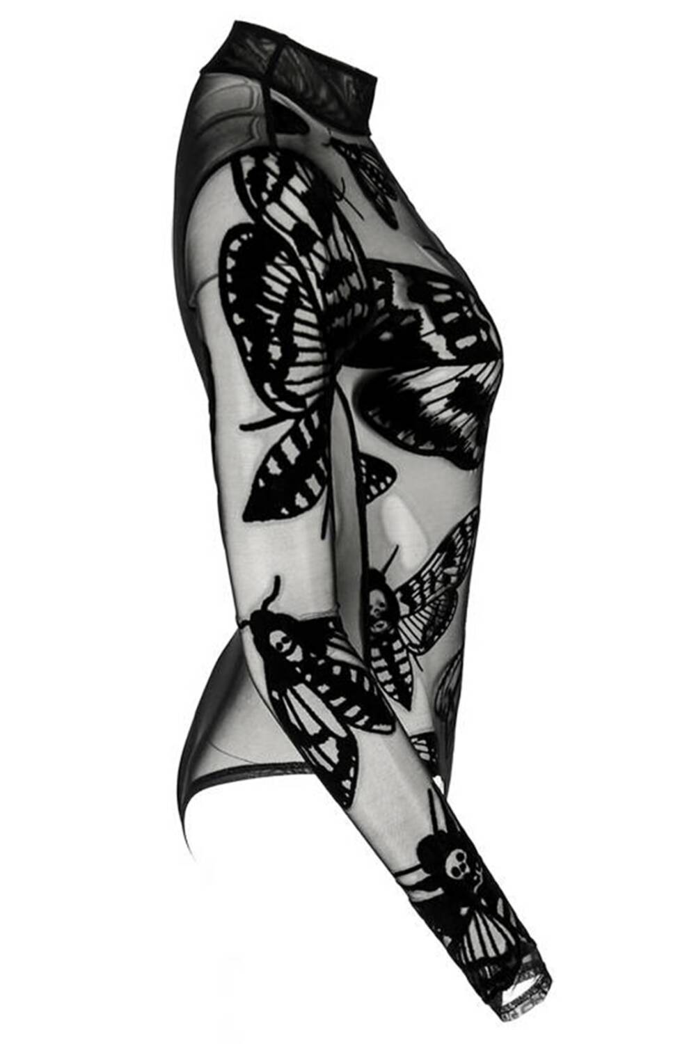 Restyle Body Deaths Head Hawkmoth - Image 4
