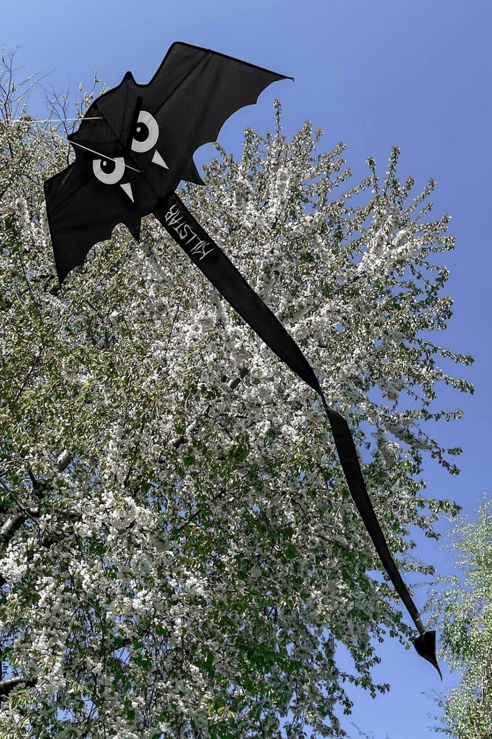 Killstar Dragon Bat - Image 3