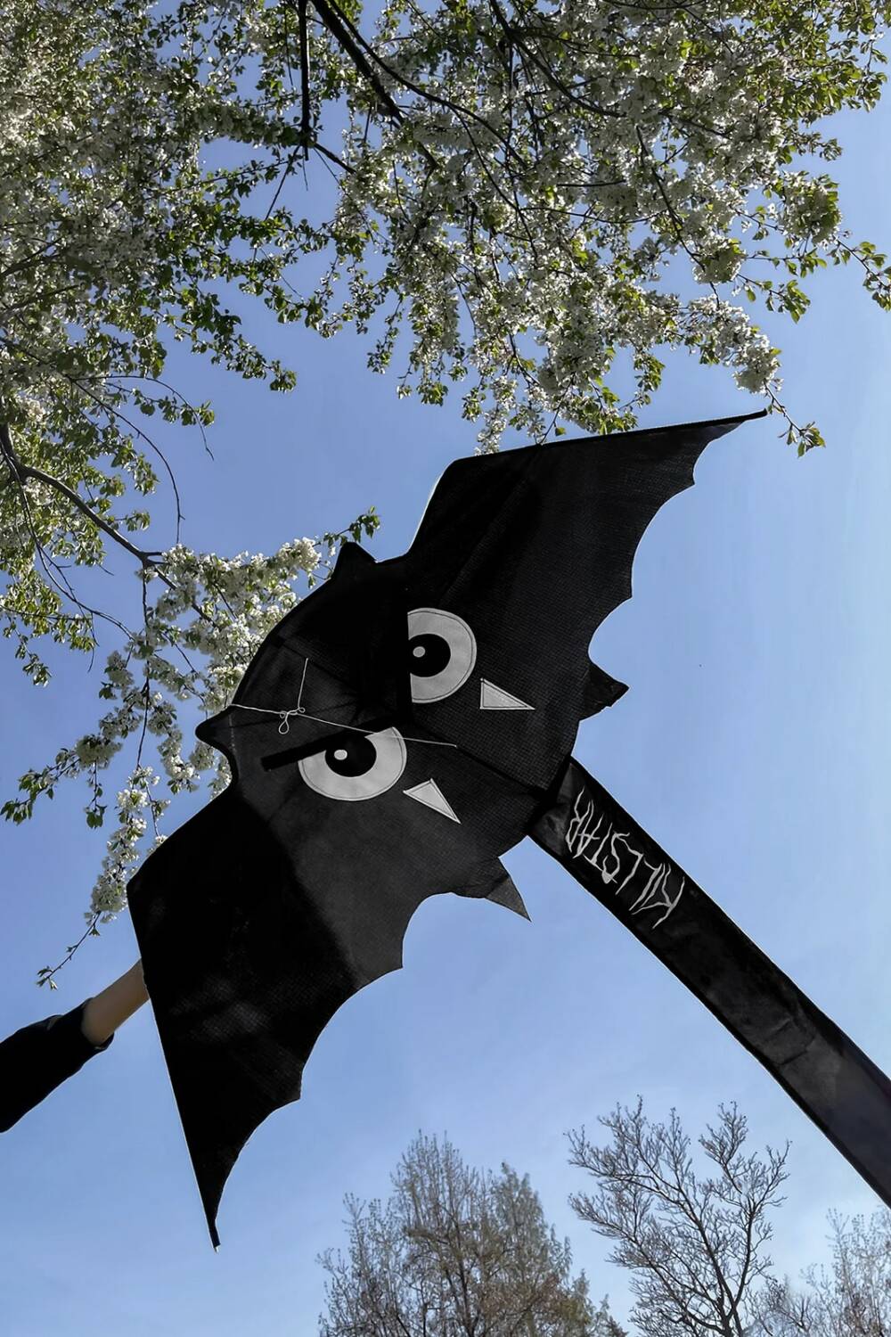 Killstar Dragon Bat - Image 4