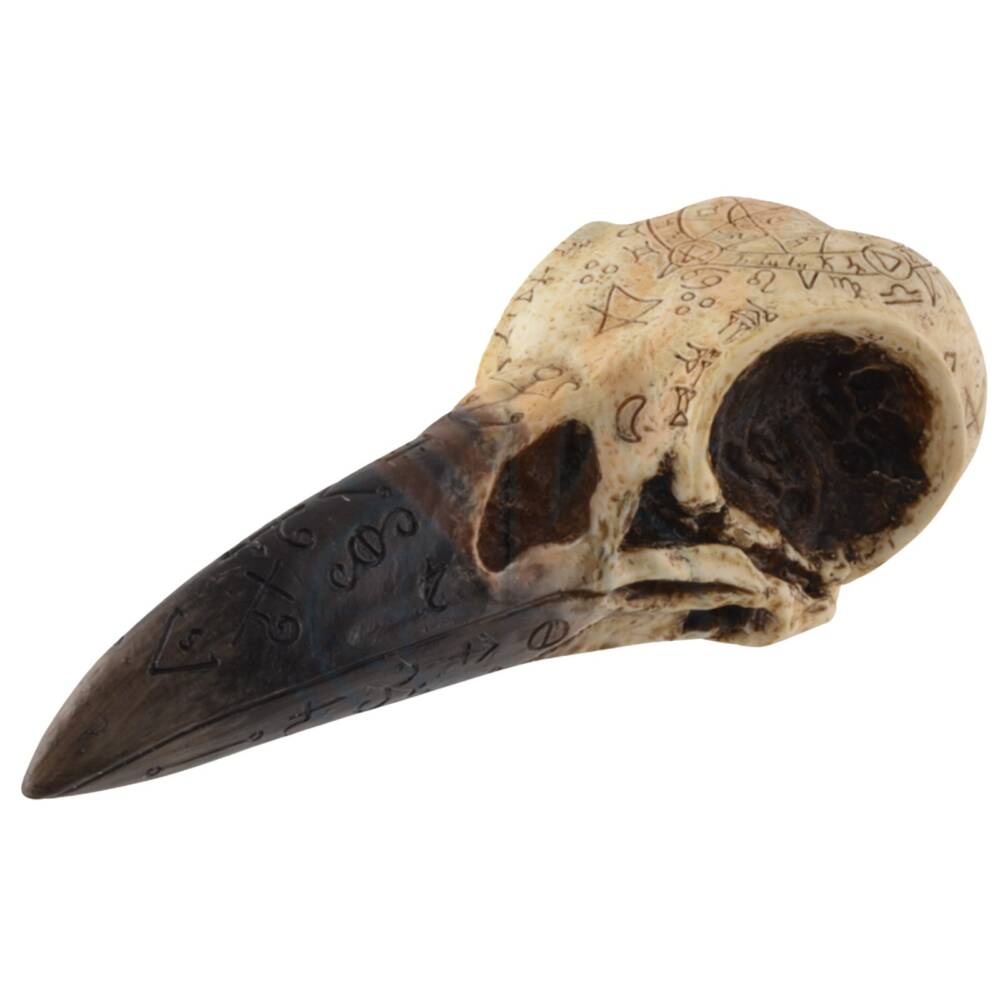 Vogler raven skull Mystic - Image 2