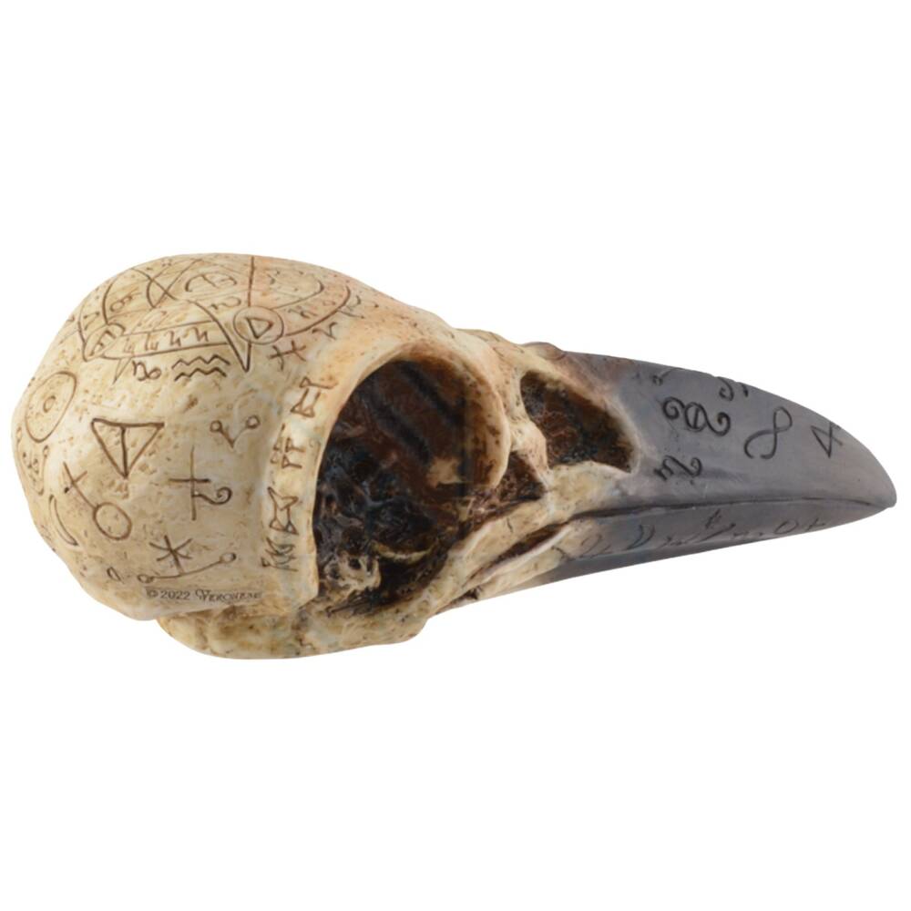 Vogler raven skull Mystic - Image 3
