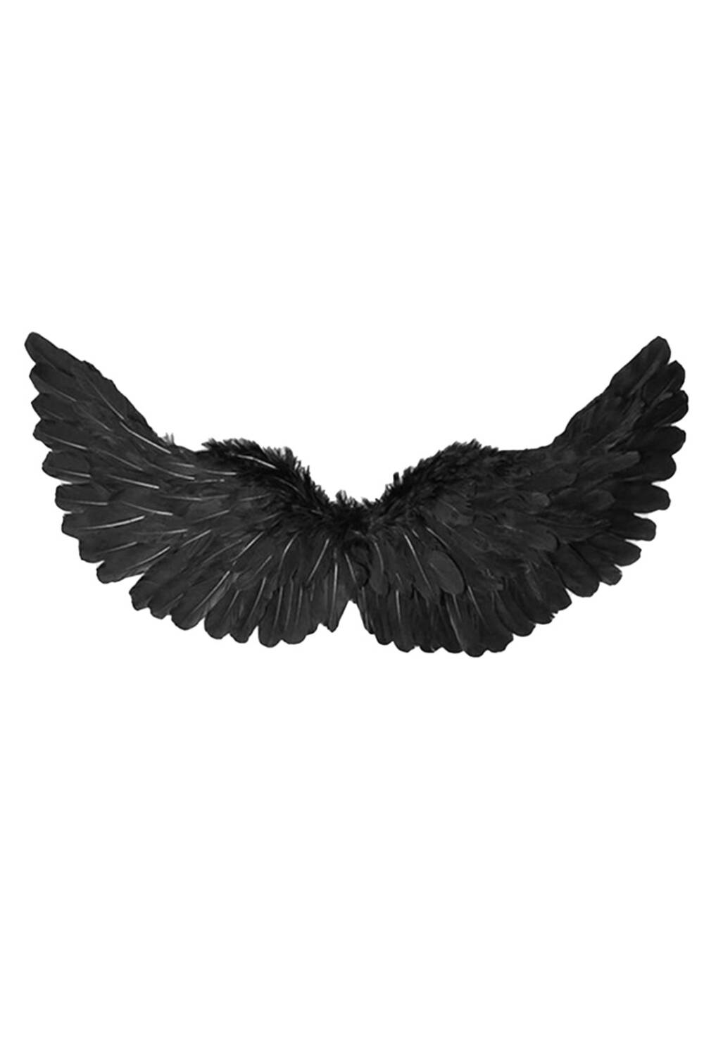 Mad Moonshine wing Stormbringer