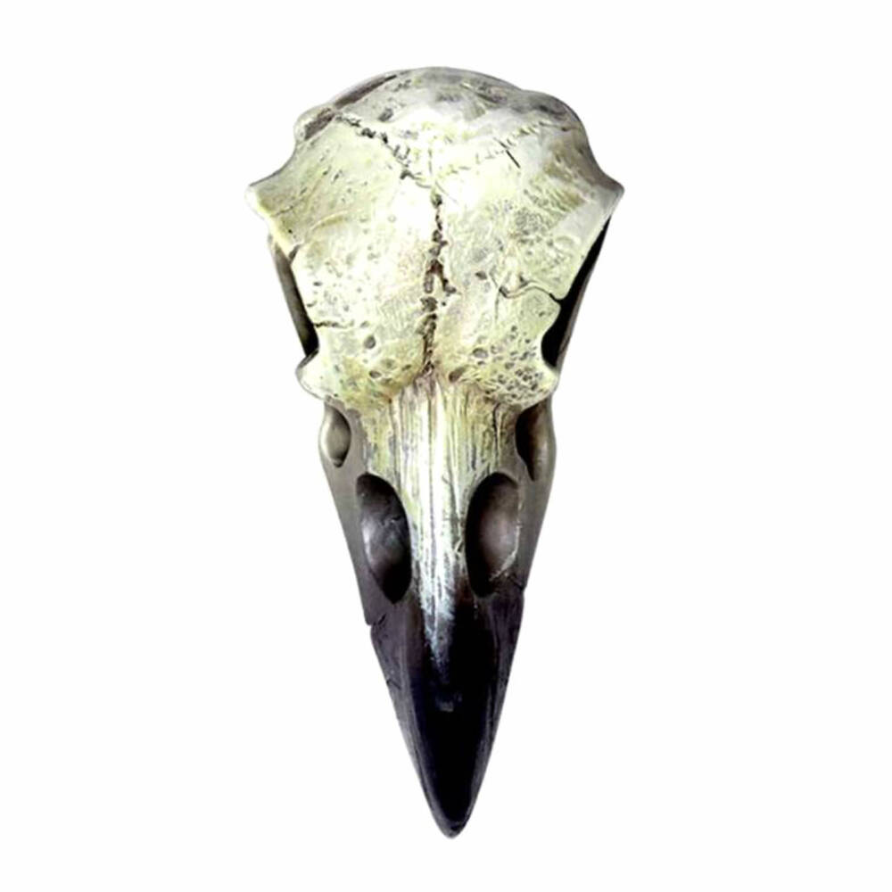 Alchemy Pendant Raven Skull