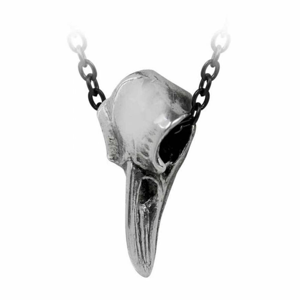 Alchemy Raven skull necklace - Image 3