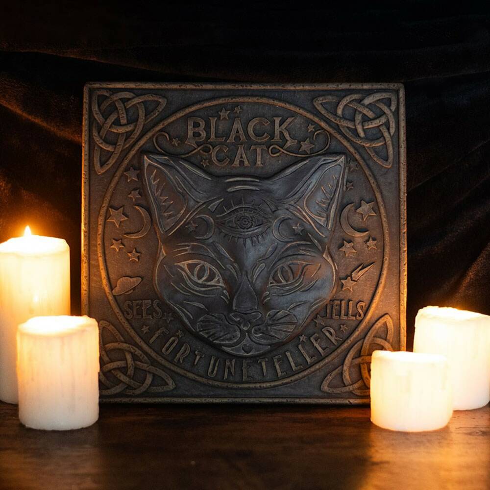 Spirit of Equinox stepping stone Black Cat - Image 4