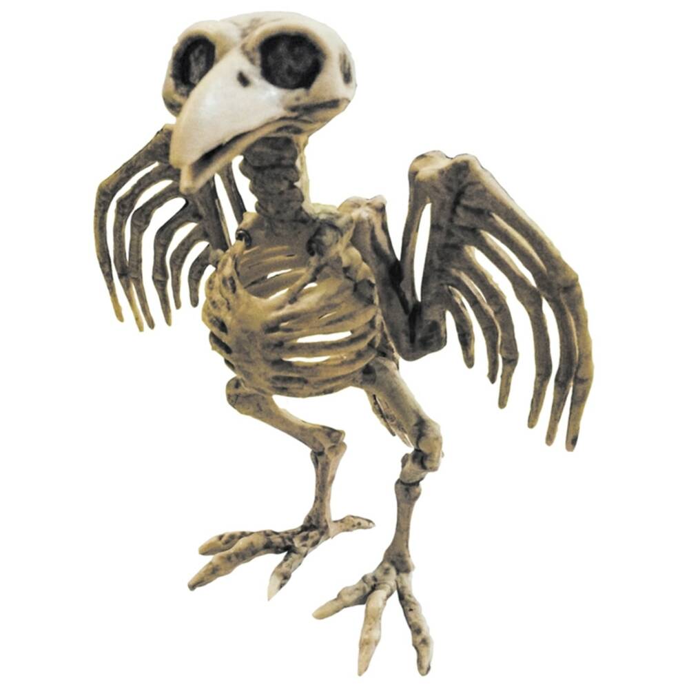 Mad Moonshine decorative item raven skeleton