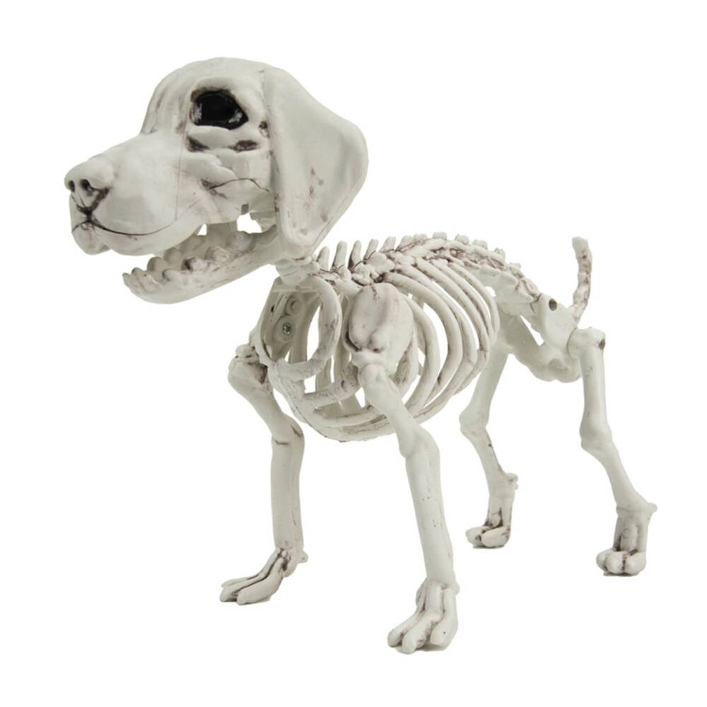 Mad Moonshine decorative item dog skeleton
