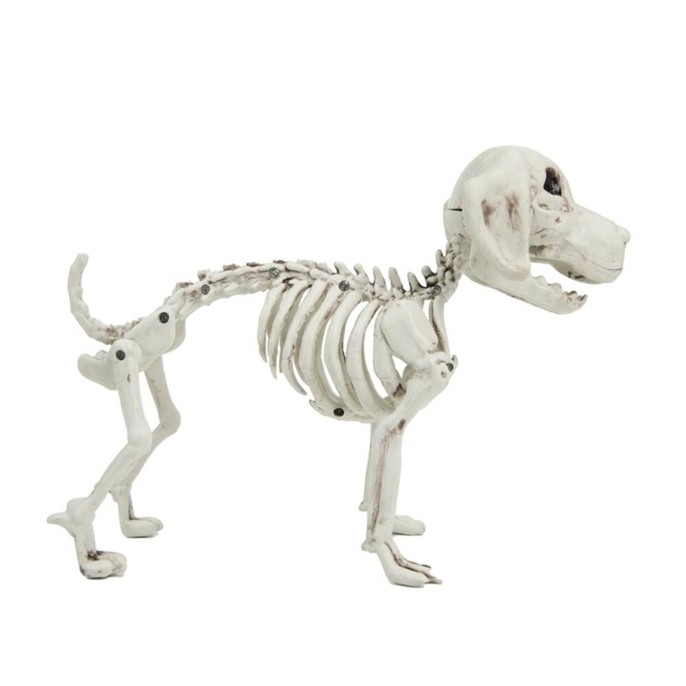 Mad Moonshine decorative item dog skeleton - Image 2