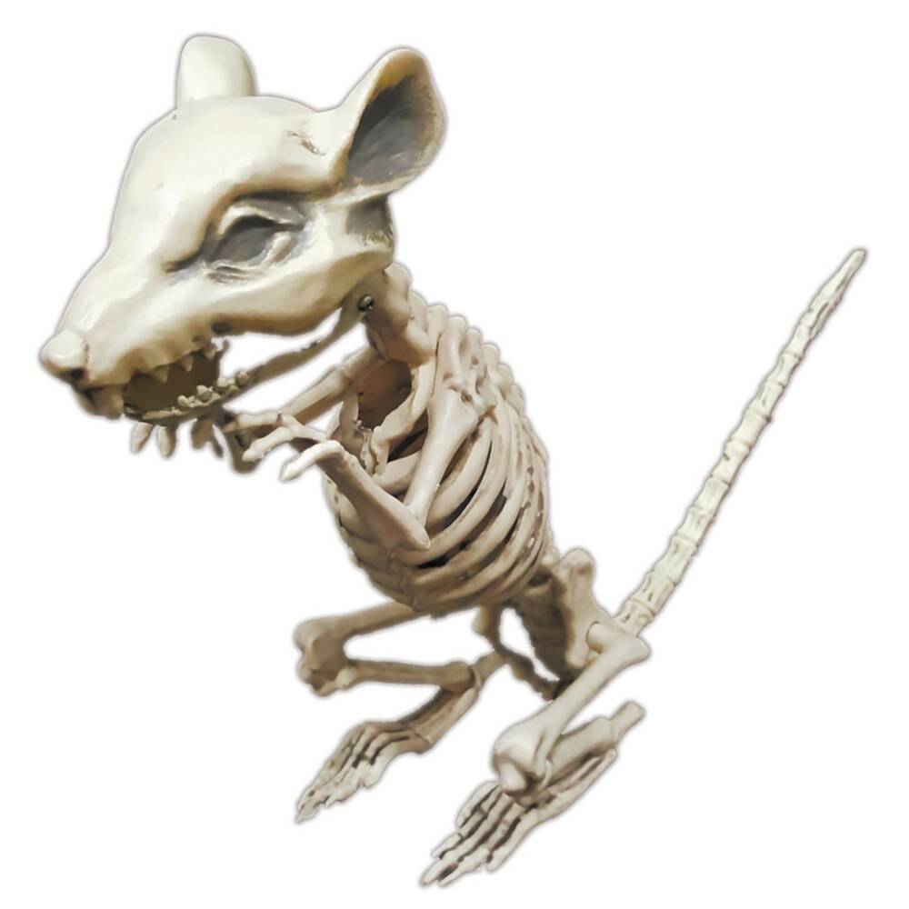 Mad Moonshine decorative item rat skeleton